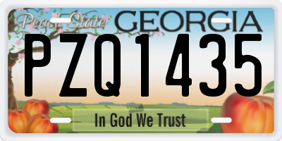 GA license plate PZQ1435