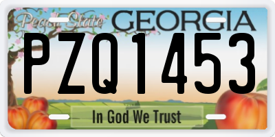 GA license plate PZQ1453