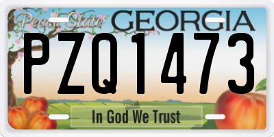 GA license plate PZQ1473