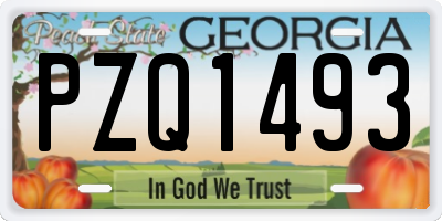 GA license plate PZQ1493