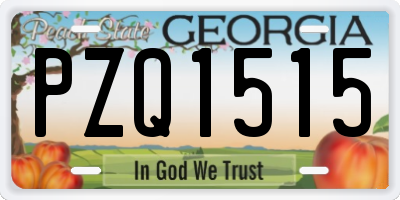 GA license plate PZQ1515
