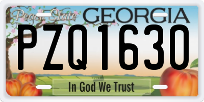 GA license plate PZQ1630