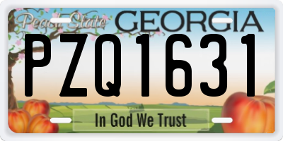 GA license plate PZQ1631