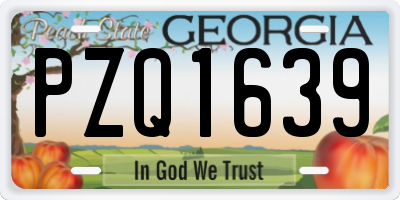 GA license plate PZQ1639