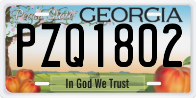 GA license plate PZQ1802