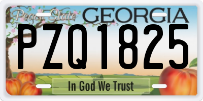 GA license plate PZQ1825