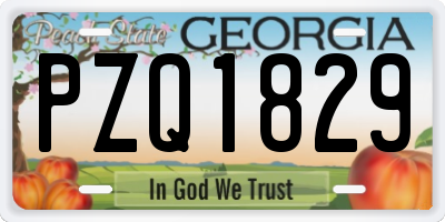GA license plate PZQ1829