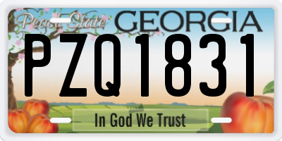 GA license plate PZQ1831
