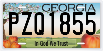 GA license plate PZQ1855