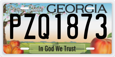 GA license plate PZQ1873