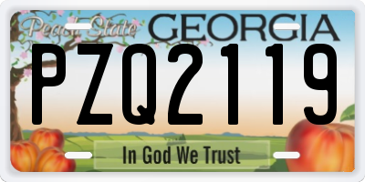 GA license plate PZQ2119