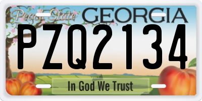 GA license plate PZQ2134