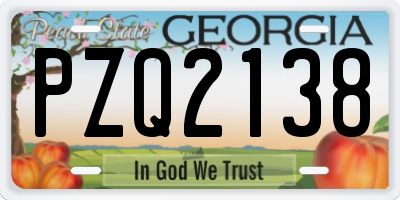 GA license plate PZQ2138