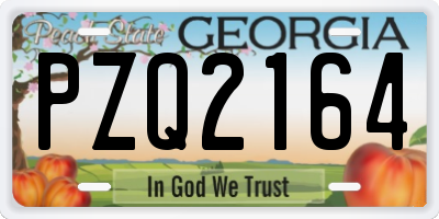 GA license plate PZQ2164