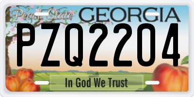 GA license plate PZQ2204