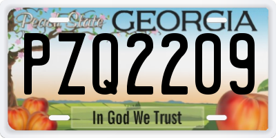 GA license plate PZQ2209