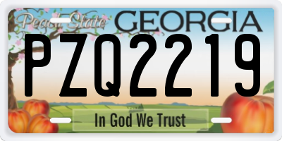 GA license plate PZQ2219