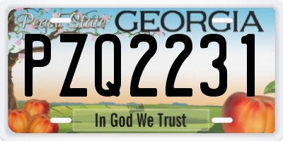 GA license plate PZQ2231