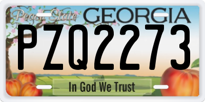 GA license plate PZQ2273