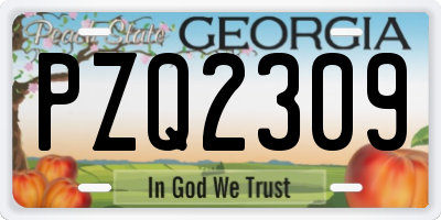 GA license plate PZQ2309