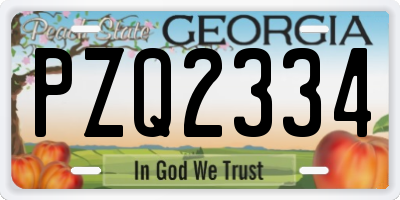 GA license plate PZQ2334