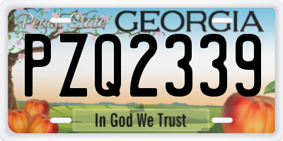 GA license plate PZQ2339