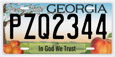 GA license plate PZQ2344