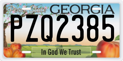 GA license plate PZQ2385