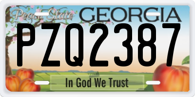 GA license plate PZQ2387