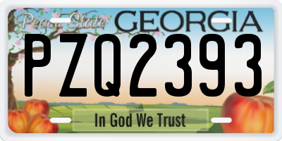 GA license plate PZQ2393