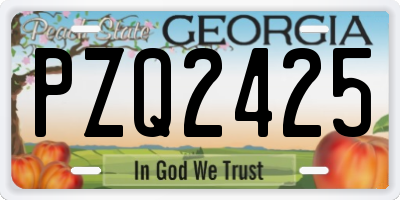 GA license plate PZQ2425