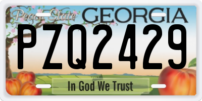 GA license plate PZQ2429