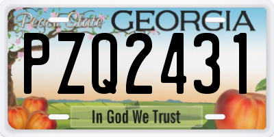 GA license plate PZQ2431