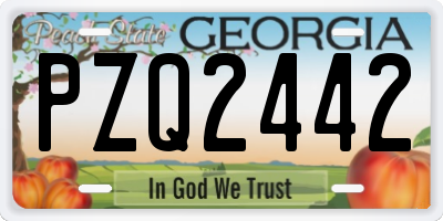 GA license plate PZQ2442