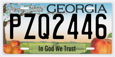 GA license plate PZQ2446