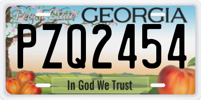 GA license plate PZQ2454