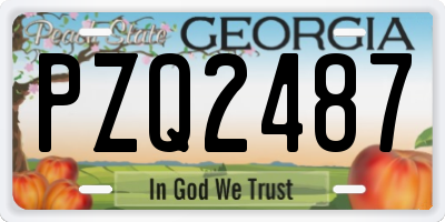 GA license plate PZQ2487