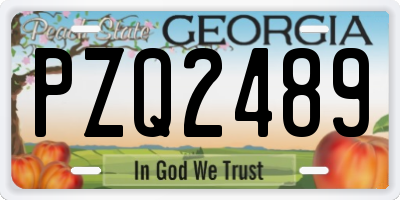 GA license plate PZQ2489