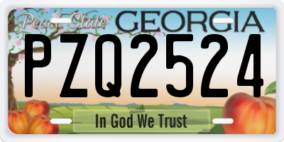 GA license plate PZQ2524