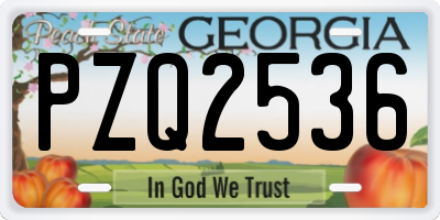 GA license plate PZQ2536