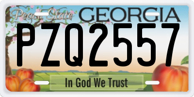 GA license plate PZQ2557