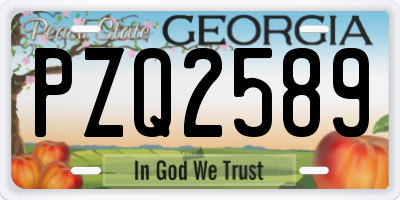 GA license plate PZQ2589