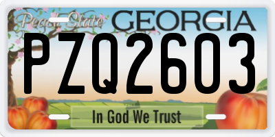 GA license plate PZQ2603