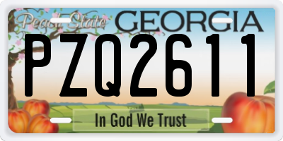 GA license plate PZQ2611