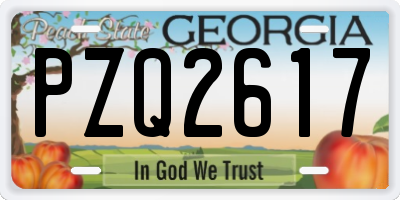 GA license plate PZQ2617