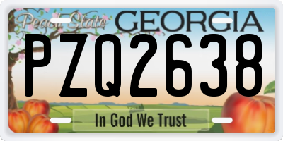 GA license plate PZQ2638