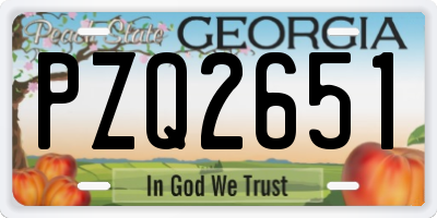 GA license plate PZQ2651