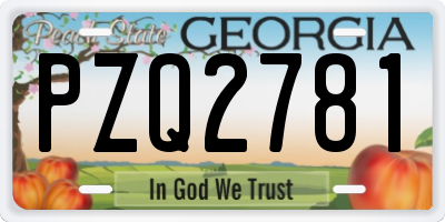 GA license plate PZQ2781