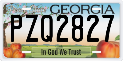 GA license plate PZQ2827