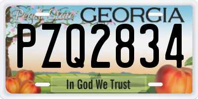 GA license plate PZQ2834